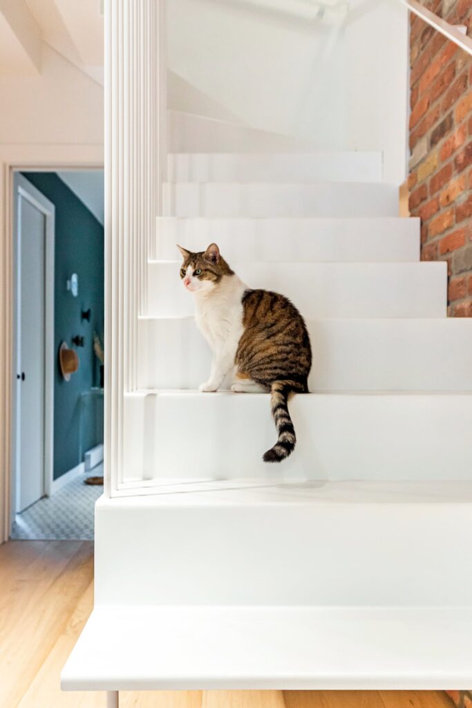 escalier-design-interieur-montreal-melodie-violet-pointe-saint-charles